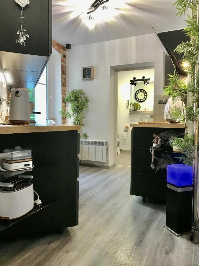 Pod Bykiem Apartment *